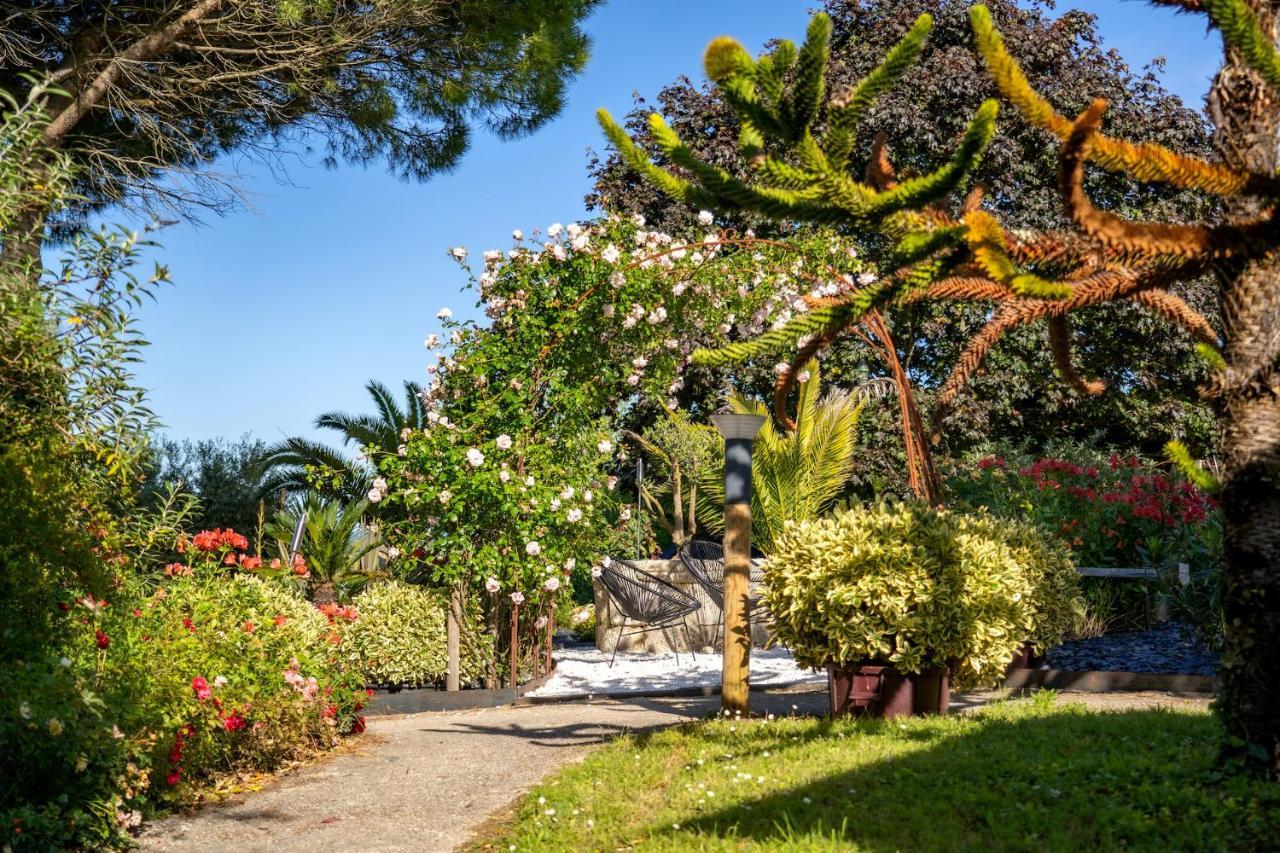 Le Bassin Du Tertre Bed & Breakfast Fronsac  Exterior foto