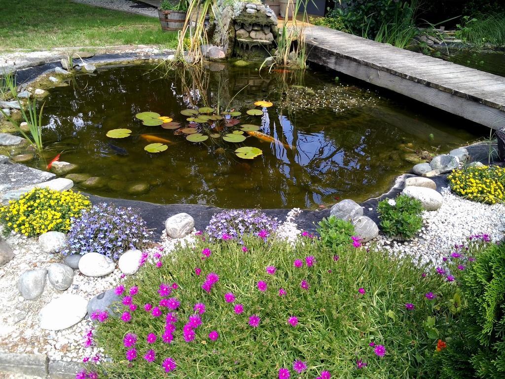 Le Bassin Du Tertre Bed & Breakfast Fronsac  Exterior foto