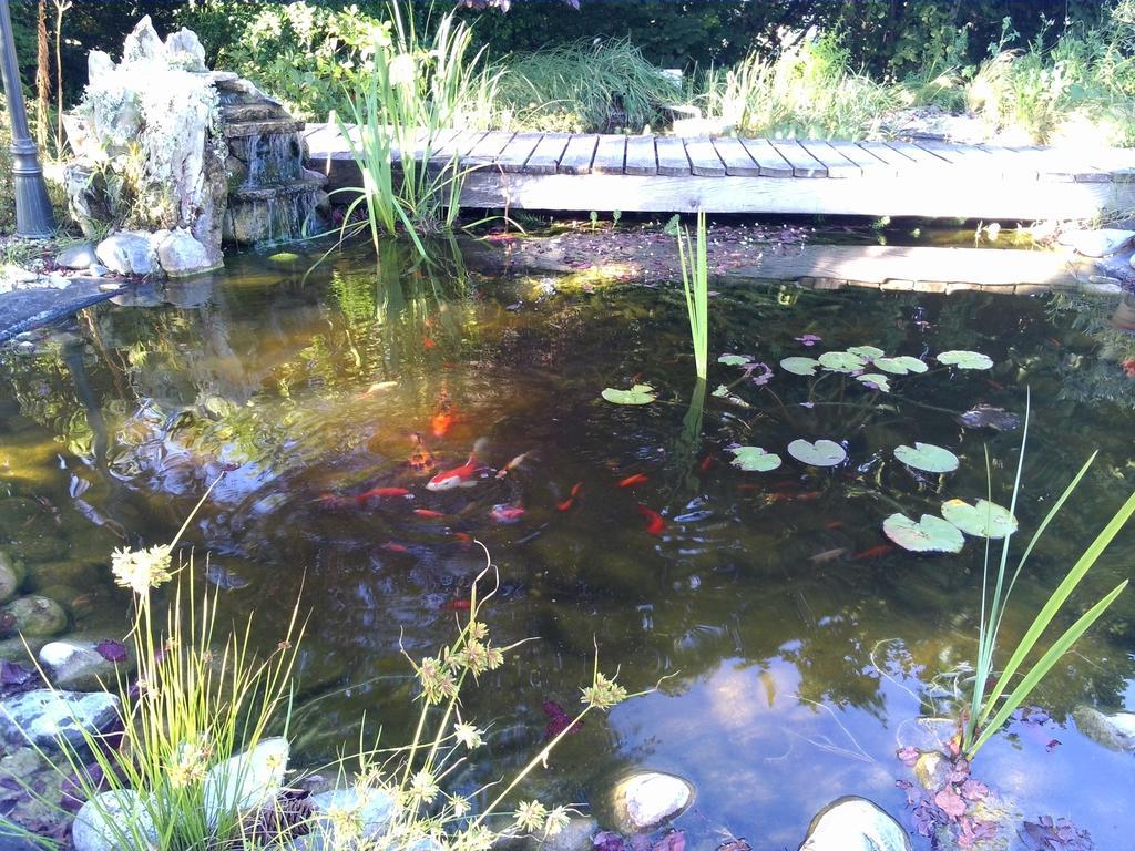 Le Bassin Du Tertre Bed & Breakfast Fronsac  Exterior foto
